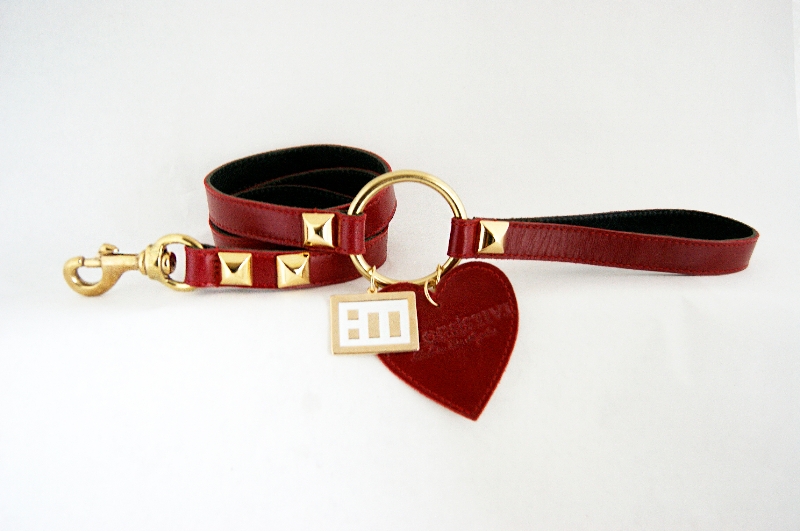 Heroes-and-tails Single Ring Leash