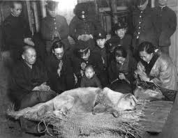 family surrounding hachiko dead