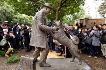 Hachiko Statue in Japan