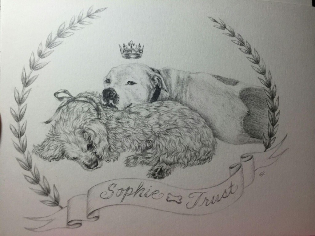 Heroes and Tails Trust Sophie