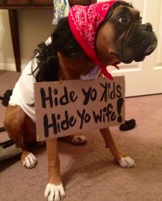 Boxer Dog Costume - Hide yo Kids, Hide yo Wife!