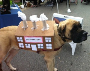 Mastiff Funny Poop Factory Dog Costume