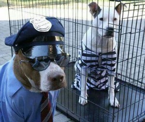 Pit Bull Cop Costume and Jail Mate in cage