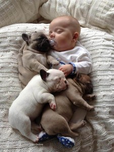 Baby-Sleeping-with-French-Bulldog-4