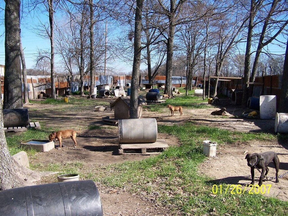 Bad Newz Kennels Heroes and Tails